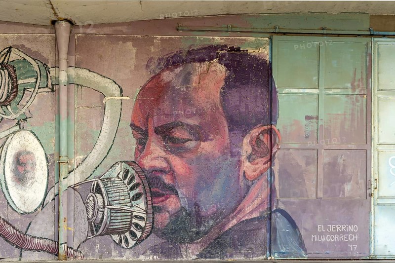 Realistic portrait of a man with a microphone painted on a wall, at the harbour Linz Upper Austria Austria
