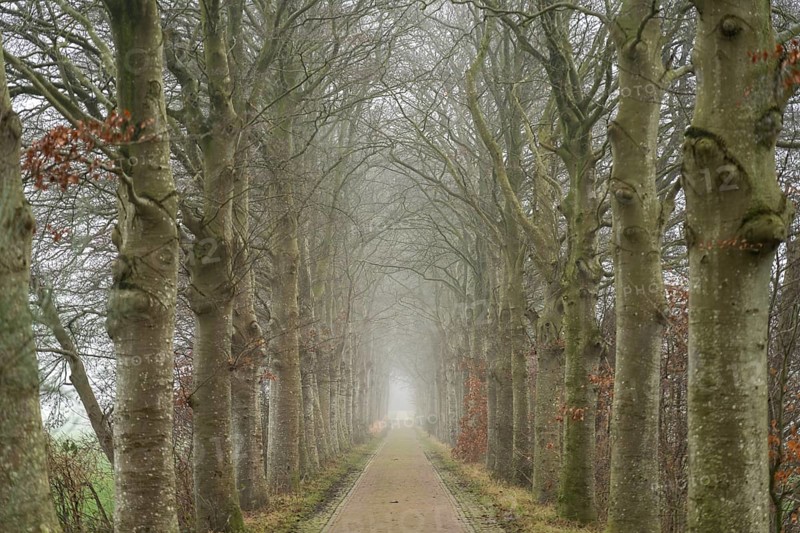 All about Nienoord Castle in the fog, Leek, Groningen, Netherlands
