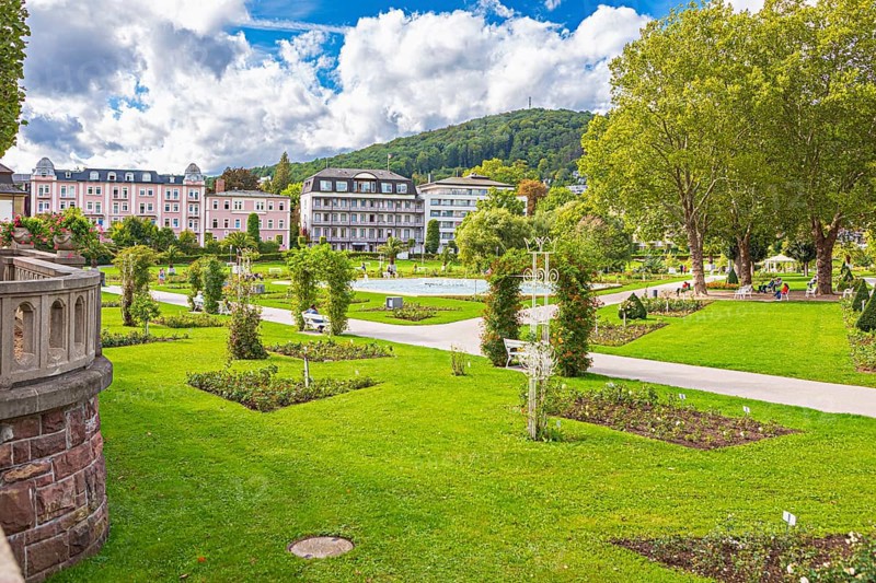 Rose garden in Bad Kissingen, Bavaria, Germany