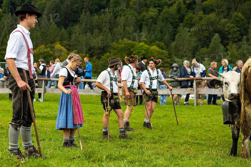 Cattle drive, cattle drive, shepherd, shepherdess, lederhosen, dirndl, traditional traditional costume, Oberstdorf, Oberallgäu, Allgäu Alps, Bavaria, Germany