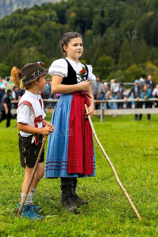 Cattle drive, cattle drive, domestic cattle (Bovidae), shepherdess, children, lederhosen, dirndl, traditional traditional costume, Oberstdorf, Oberallgäu, Allgäu Alps, Bavaria, Germany