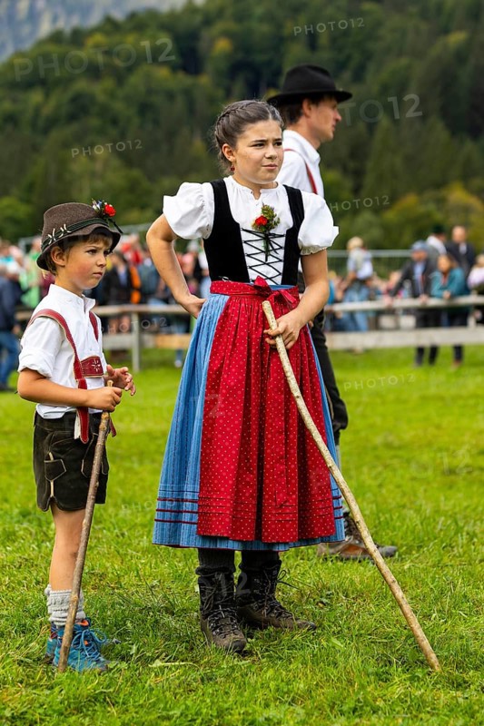 Cattle drive, cattle drive, domestic cattle (Bovidae), shepherdess, children, lederhosen, dirndl, traditional traditional costume, Oberstdorf, Oberallgäu, Allgäu Alps, Bavaria, Germany
