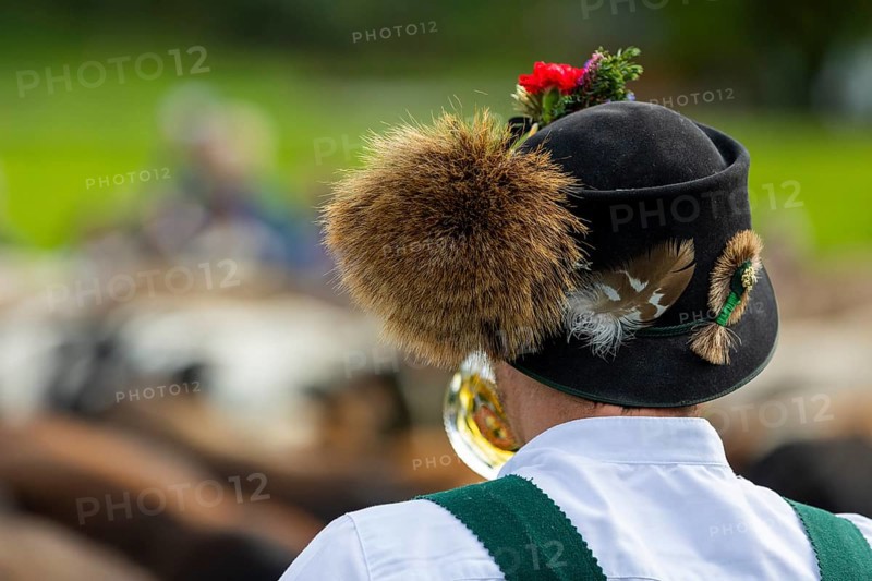 Cattle drive, cattle drive, alpine herdsman, felt hat, chamois beard, traditional traditional costume, Oberstdorf, Oberallgäu, Allgäu Alps, Bavaria, Germany