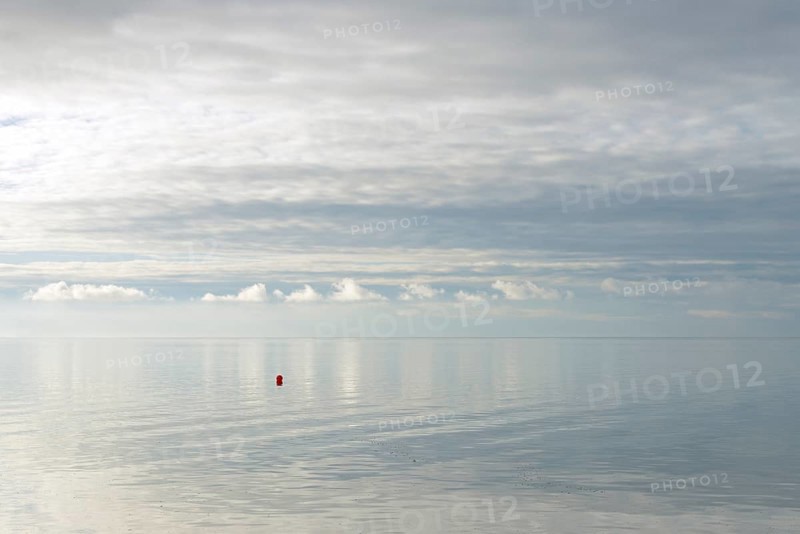 North Sea coast, special light atmosphere over the Wadden Sea with rising water and calm wind, red buoy, Norddeich, Lower Saxony, Germany