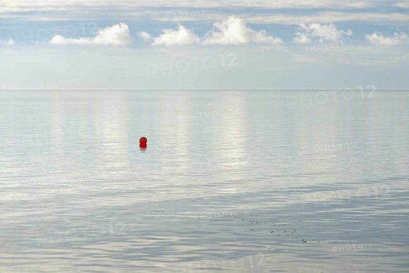 North Sea coast, special light atmosphere over the Wadden Sea with rising water and calm wind, red buoy, Norddeich, Lower Saxony, Germany