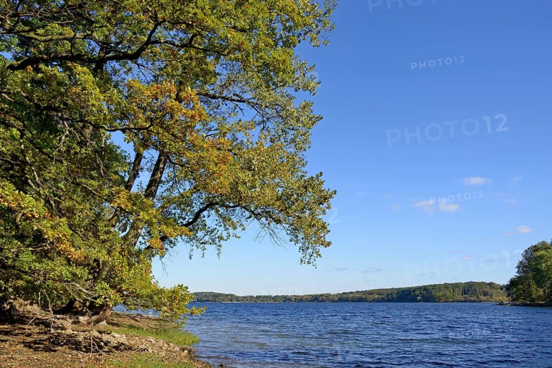 View of Lake Möhne, autumn atmosphere, blue sky, Möhne Dam, North Rhine-Westphalia, Germany