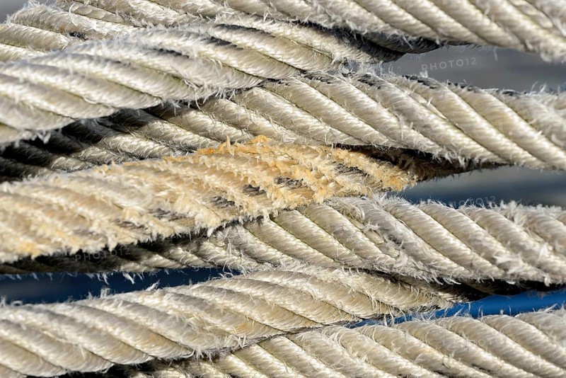 Thick ship jam, close-up, North Sea, Norddeich, Lower Saxony, Germany
