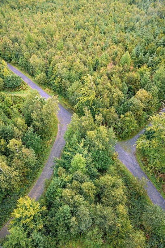 View over an autumnal mixed forest with forest paths, Arnsberg Forest nature park Park, North Rhine-Westphalia, Germany