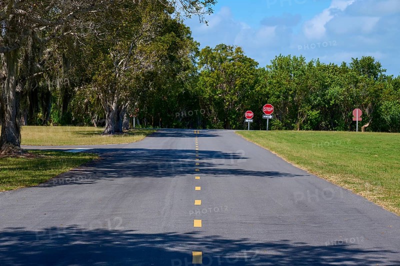A tarmac road with no stopping signs and surrounded by trees, Flamingo, Everglades National Park, Florida, USA