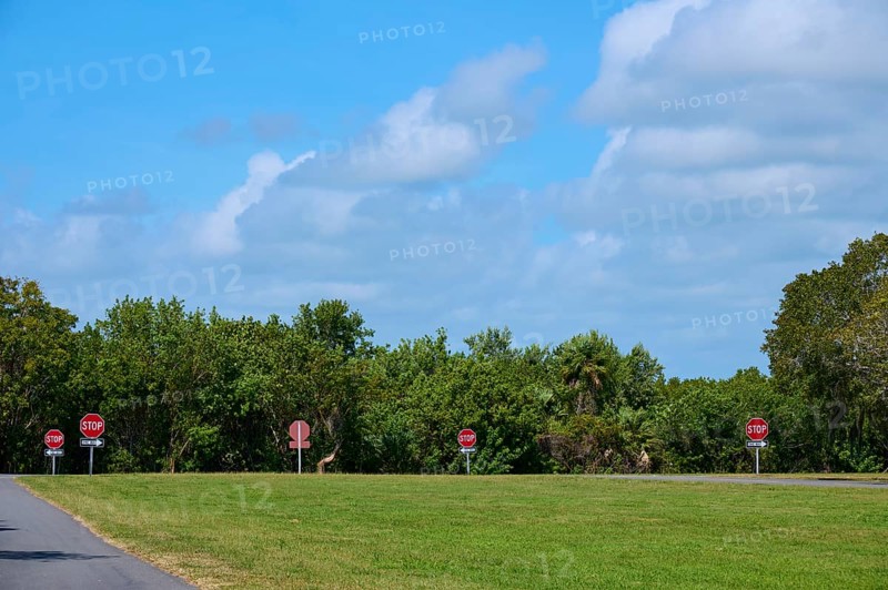 Several stop signs along a road with lush greenery and clear skies, Flamingo, Everglades National Park, Florida, USA