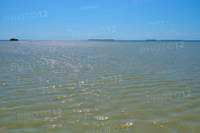 View over the glittering surface of the sea under a clear sky, Flamingo, Everglades National Park, Florida, USA