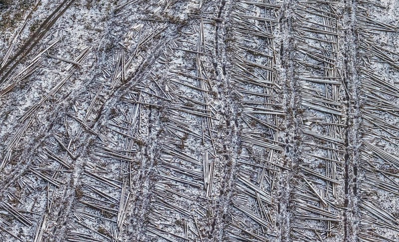 Aerial view of felled trees, lying tree trunks in winter with snow at the Südrandweg in Körbecke in Möhnesee in Sauerland in North Rhine-Westphalia, Germany, Möhnesee, Sauerland, North Rhine-Westphalia, DE, Europe, aerial photograph, birds-eyes view, aerial photography, aerial photography, overview, bird's eye view