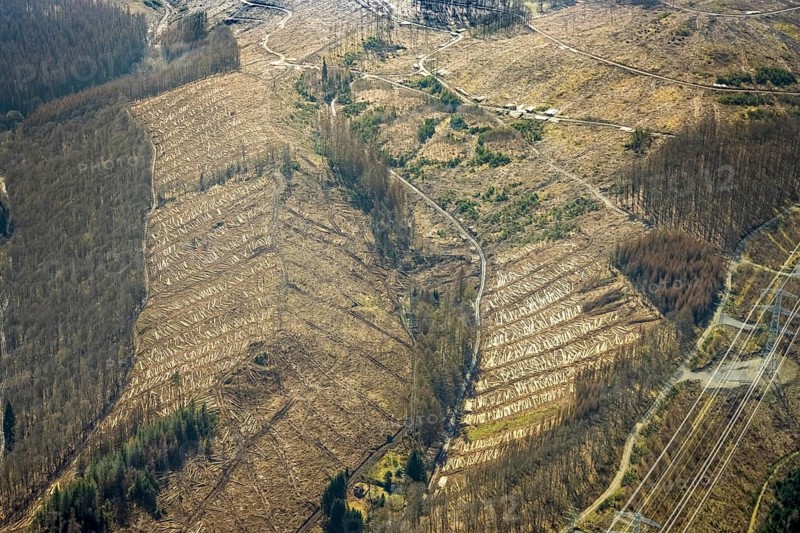 Forest damage and clear cutting, Brachbach, Siegerland, Rhineland-Palatinate, Germany, 2 bridges over the Weser, tree mortality, DE, Europe, timber storage, clear cutting, aerial view, aerial photograph, aerial photography, aerial photography, overview, bird's-eye view, forest, forest area, forest damage, forest mortality, birds-eyes view, overview