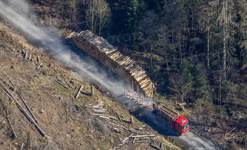 Forest damage, timber storage site and removal by lorry in the forest area near Neuhaus, Südrandweg, Möhnesee, Sauerland, North Rhine-Westphalia, Germany, tree mortality, DE, Europe, clear-cutting, aerial view, aerial photography, aerial photography, aerial photography, overview, bird's-eye view, forest area, forest mortality, birds-eyes view, overview