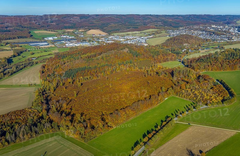 Aerial view, forest area in autumn colours at the industrial area Enste in the district Berghausen in Meschede, Sauerland, North Rhine-Westphalia, Germany, DE, Europe, commercial enterprises, commercial area, commercial park, commercial location, commercial use, autumn colours, autumn forest, autumn forest colours, industrial area, industrial location, aerial view, aerial photography, aerial photography, Meschede, mixed forest, overview, bird's-eye view, birds-eyes view, autumn forest, overview