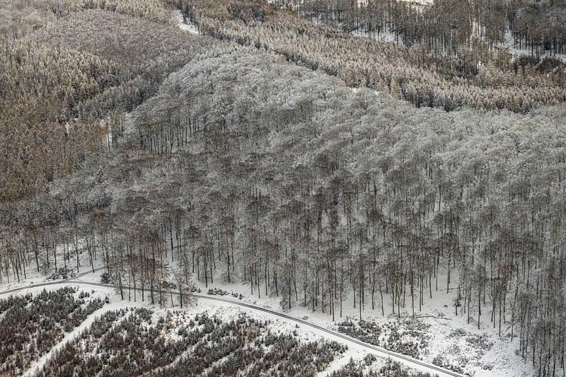 Aerial view of the Arnsberg Forest near Meschede in winter with snow in the Sauerland in North Rhine-Westphalia, Germany, Warstein, Sauerland, North Rhine-Westphalia, DE, Europe, aerial photo, birds-eyes view, aerial photography, aerial photography, overview, bird's eye view