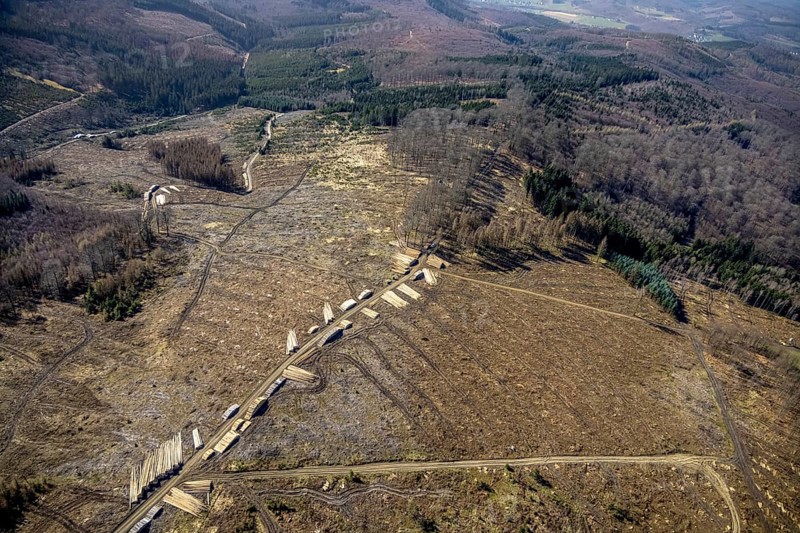 Aerial photo, forest damage and forest dieback, Wennemer Höhweg, Wennemen, Meschede, Sauerland, North Rhine-Westphalia, Germany, deforestation, DE, Europe, aerial photo, aerial photography, aerial photography, overview, bird's-eye view, forest, forest area, forest damage, forest dieback, birds-eyes view, overview, spruce dieback, drought, bark beetle plague
