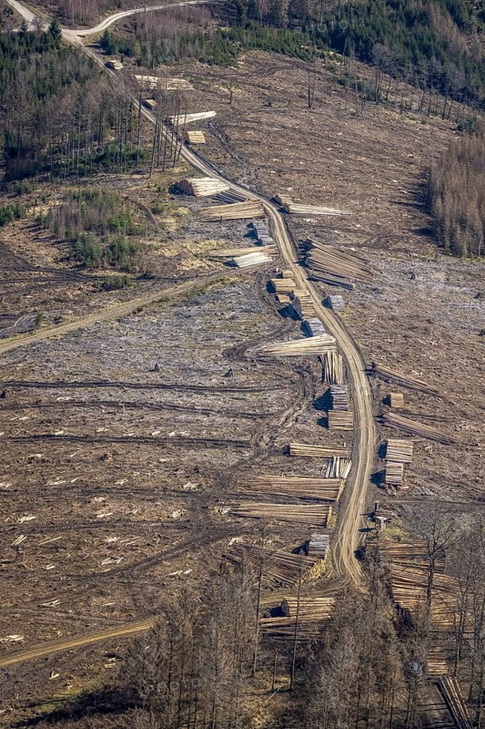 Aerial photo, forest damage and forest dieback, Wennemer Höhweg, Wennemen, Meschede, Sauerland, North Rhine-Westphalia, Germany, deforestation, DE, Europe, aerial photo, aerial photography, aerial photography, overview, bird's-eye view, forest, forest area, forest damage, forest dieback, birds-eyes view, overview, spruce dieback, drought, bark beetle plague