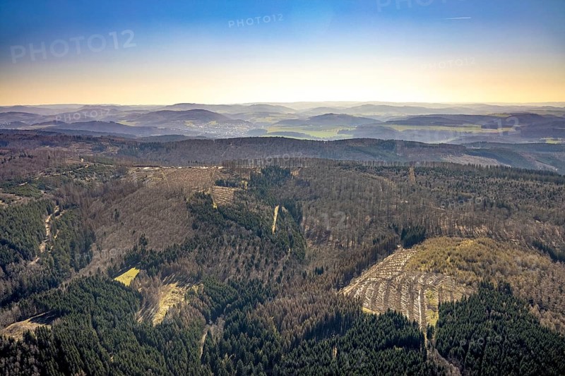 Aerial photo, forest damage and forest dieback, Wennemer Höhweg, Wennemen, Meschede, Sauerland, North Rhine-Westphalia, Germany, deforestation, DE, Europe, distant view, aerial view, aerial photography, aerial photography, overview, bird's-eye view, forest, forest area, forest damage, forest dieback, birds-eyes view, overview, spruce dieback, drought, bark beetle plague