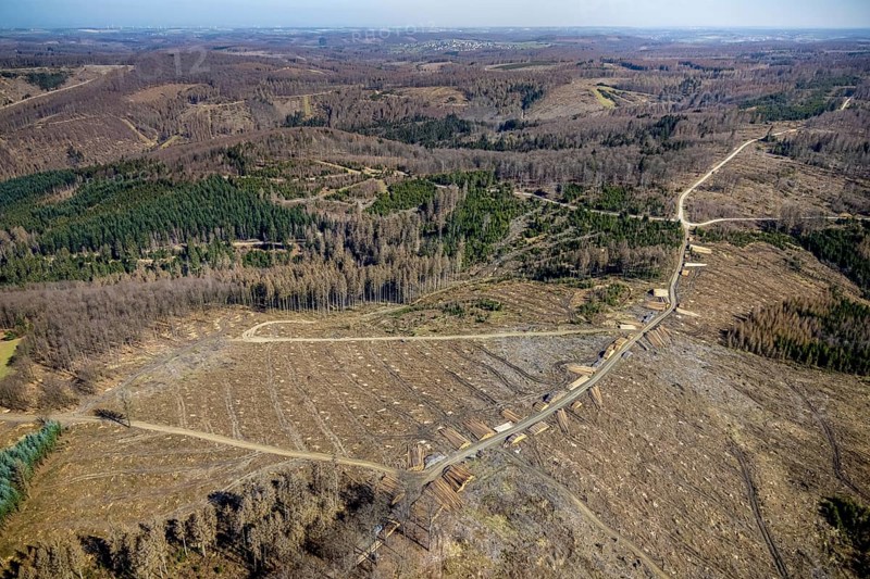 Aerial photo, forest damage and forest dieback, Wennemer Höhweg, Wennemen, Meschede, Sauerland, North Rhine-Westphalia, Germany, deforestation, DE, Europe, aerial photo, aerial photography, aerial photography, overview, bird's-eye view, forest, forest area, forest damage, forest dieback, birds-eyes view, overview, spruce dieback, drought, bark beetle plague