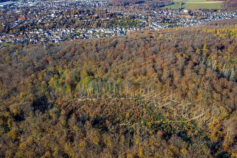 Aerial view, Menden forest with forest damage in Menden, Sauerland, North Rhine-Westphalia, Germany, tree dieback, bark beetle damage, bark beetle plague, DE, Europe, spruce dieback, clear-cutting, aerial photography, aerial photography, aerial photography, Menden, Rothenberg landscape conservation area, overview, bird's eye view, forest, forest damage, forest dieback, birds-eyes view, overview
