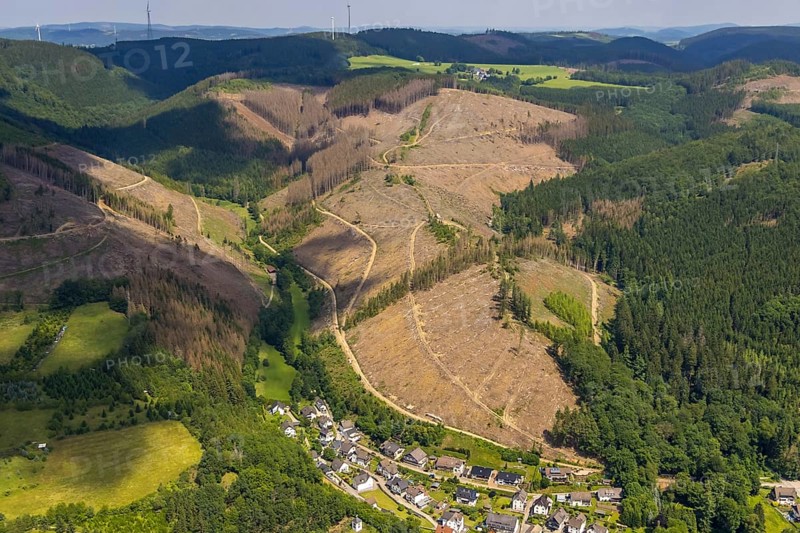 Aerial view, forest area with forest damage, Langenei, Kickenbach, Lennestadt, Sauerland, North Rhine-Westphalia, Germany, tree dieback, bark beetle damage, bark beetle plague, DEU, Europe, spruce dieback, clear-cutting, aerial view, aerial photography, aerial photography, overview, bird's-eye view, forest, forest damage, forest dieback, birds-eyes view, overview