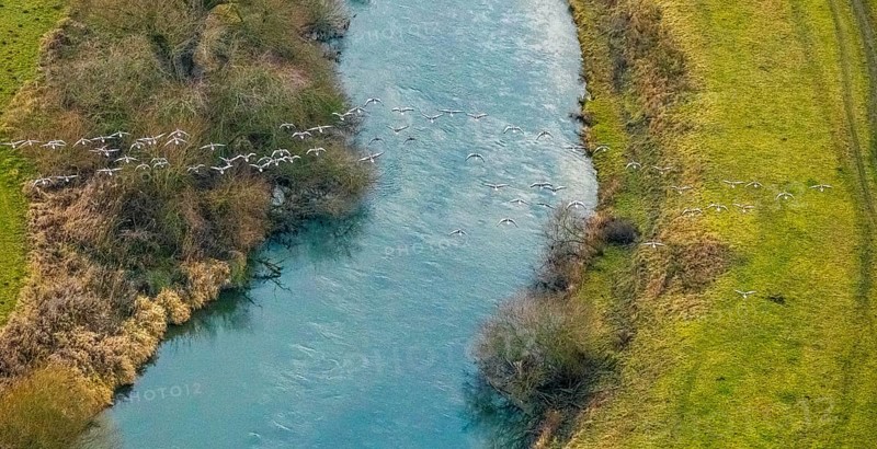 Aerial view of the national nature reserve Lippeauen at the river Lippe with the observation hut Disselmersch near Heintrop in Lippetal in North Rhine-Westphalia, Germany. Geese fly over the river Lippe, Lippetal, Ruhr area, North Rhine-Westphalia, Germany, DE, Europe, aerial photo, birds-eyes view, aerial photography, aerial photography, overview, bird's eye view