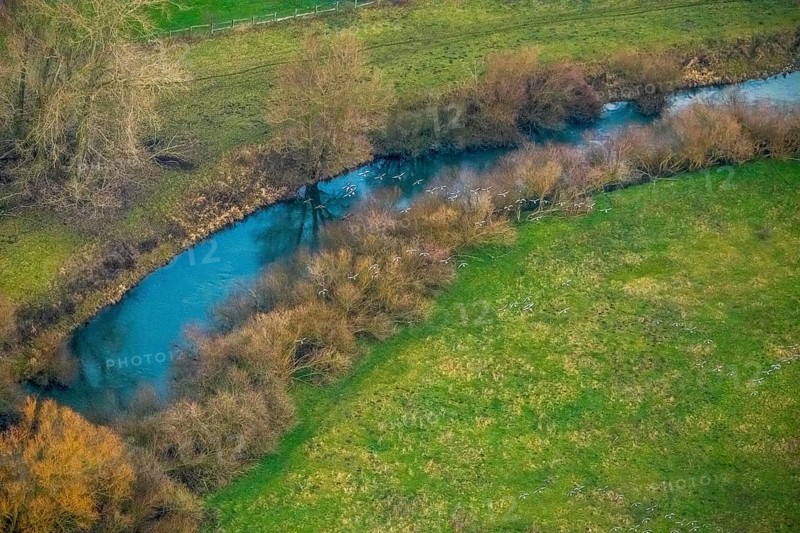 Aerial view of the national nature reserve Lippeauen at the river Lippe with the observation hut Disselmersch near Heintrop in Lippetal in North Rhine-Westphalia, Germany. Geese fly over the river Lippe, Lippetal, Ruhr area, North Rhine-Westphalia, Germany, DE, Europe, aerial photo, birds-eyes view, aerial photography, aerial photography, overview, bird's eye view