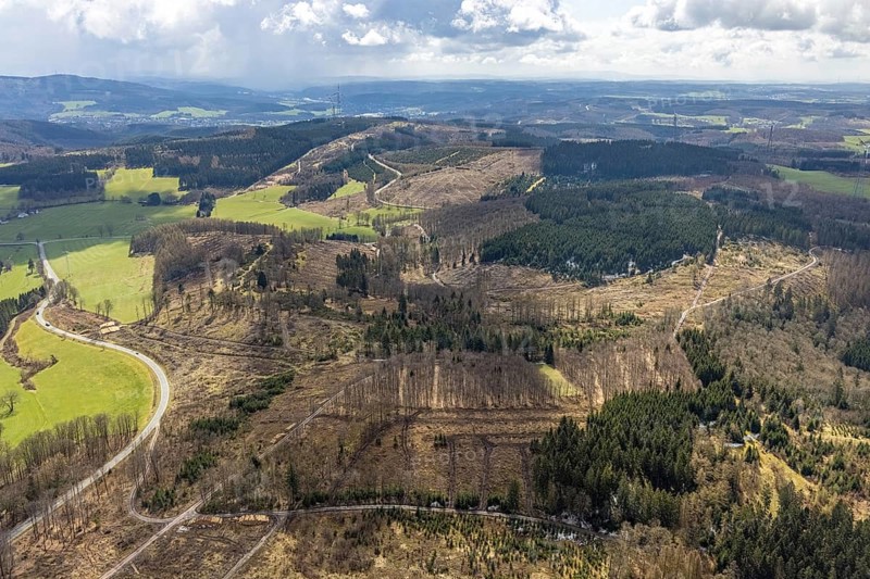 Aerial view, forest damage at Kihlenberg, Kruberg, Kirchhundem, Sauerland, Olpe district, North Rhine-Westphalia, Germany, DE, Europe, landscape conservation area, aerial view, aerial photography, aerial photography, overview, bird's eye view, juniper heath Kihlenberg, birds-eyes view, overview
