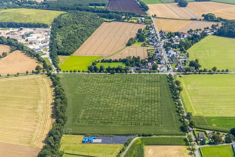 Aerial view, meadows and fields Werver Mark, Schillerstraße and corner Mühlhauser Straße in the district Heeren-Werve, Kamen, Ruhr area, North Rhine-Westphalia, Germany, DE, Europe, aerial view, aerial photography, aerial photography, overview, bird's-eye view, meadows and fields, birds-eyes view, overview
