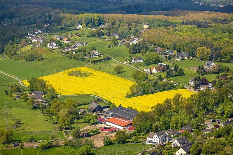 Aerial view, rape field and water tower Kermelberg, horse pension Gut Kermelbach, Westende, Herdecke, Ruhr area, North Rhine-Westphalia, Germany, DE, Europe, aerial view, aerial photography, aerial photography, horses, horse pension, equestrian sports, riding centre, riding school, riding stable, tower, overview, bird's-eye view, overview