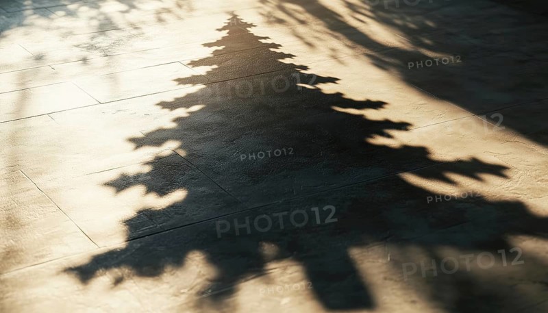 Christmas Tree Shadow: A Decorative Element For Collages And Mockups. Creative Overlay Effect For Mockups, Posters, And New Year Greeting Cards, AI generated