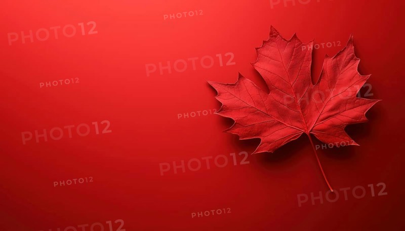 Celebrate Canada Day With A Festive Greeting, Program Invitation, And Happy Wishes Featuring The Iconic Red Maple Leaf. Enjoy The Festivities!, AI generated