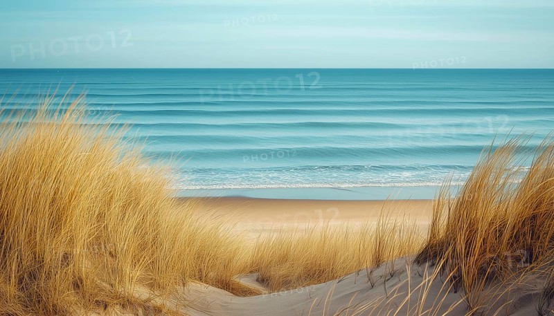 Stunning Tranquil Blue Sea With Waves And Sandy Beach Adorned With Reeds And Dry Grass On Dunes, Perfect Summer Holiday Destination With Vintage Sea Landscape, AI generated