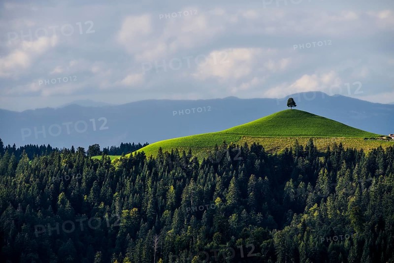 Panorama, view from Lüderenalp, Emmental, Canton Bern, Switzerland