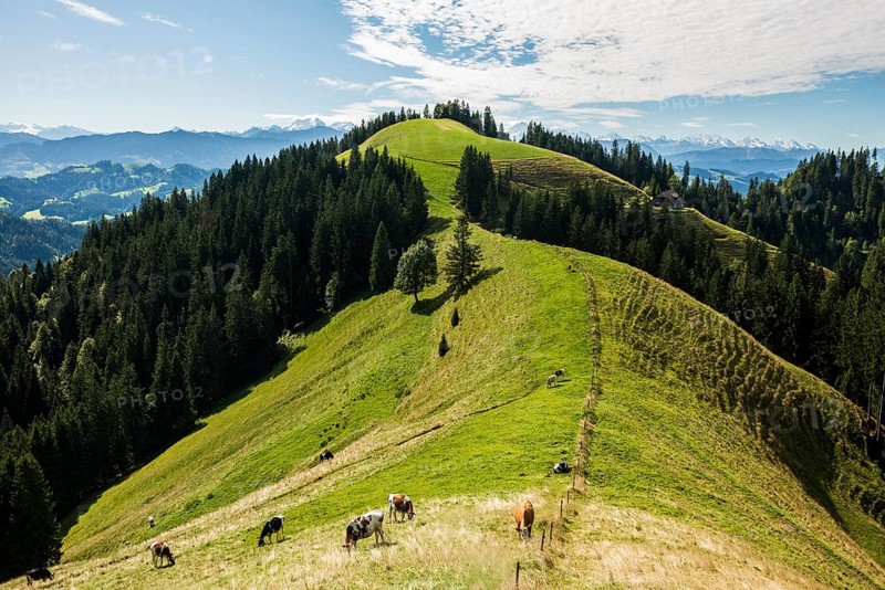 Panorama, snow-covered mountains, Bernese Oberland, view from Lüderenalp, Emmental, Canton of Bern, Switzerland