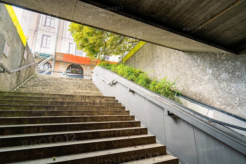 Grey staircase leads into an underground station. Concrete walls and green plants along the staircase, Munich, Germany