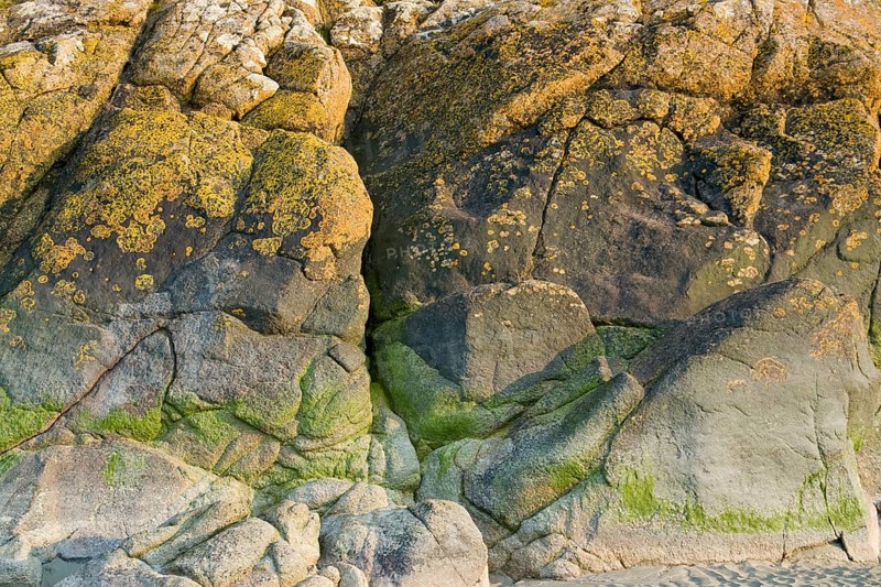 Detail of a colorful rock formation near Mont Saint Michel Abbey in Lower Normandy France