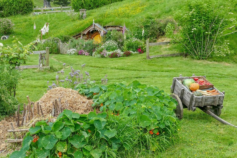 Idyllic scenery at The Shire represented by a region near Matama at the North Island of New Zealand