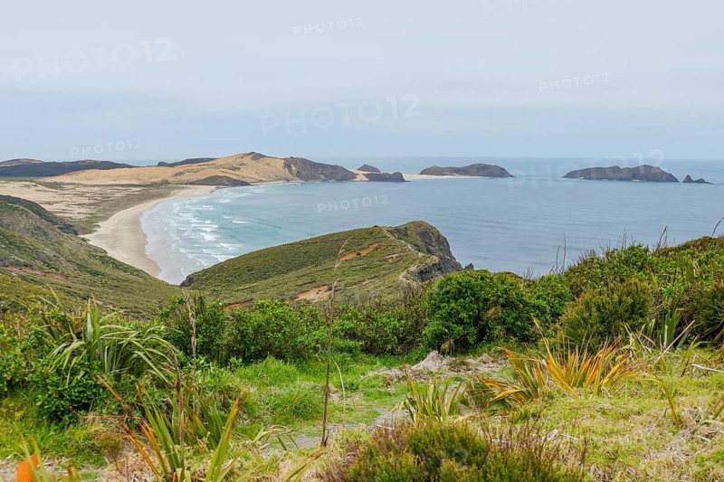 Coastal scenery around Cape Reinga at the North Island in New Zealand