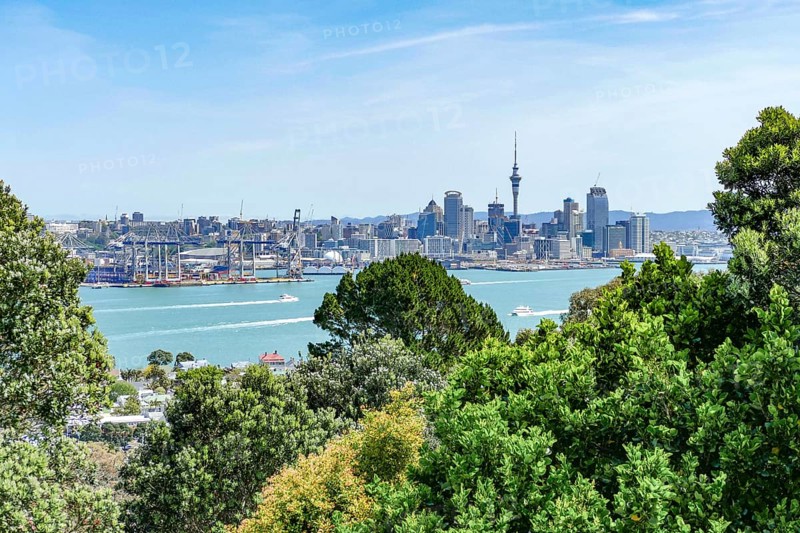 Skyline of Auckland, a large city in the North Island of New Zealand