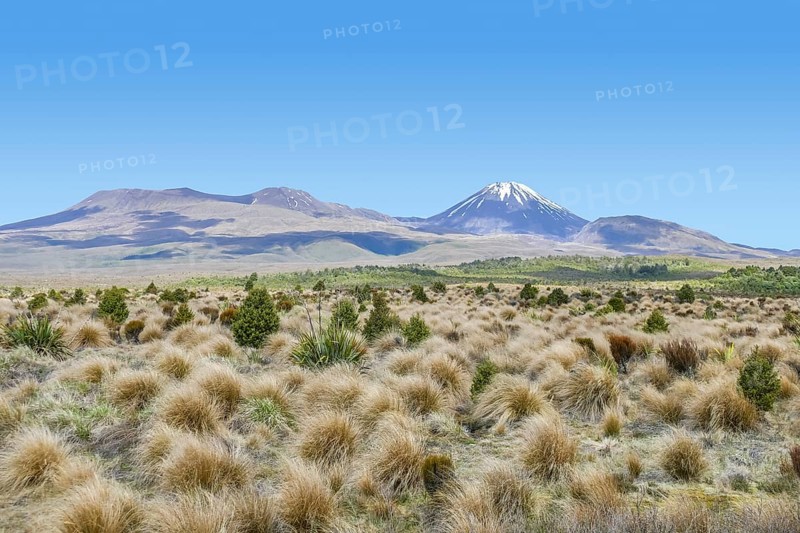 Scenery around Mount Tongariro at the North Island of New Zealand
