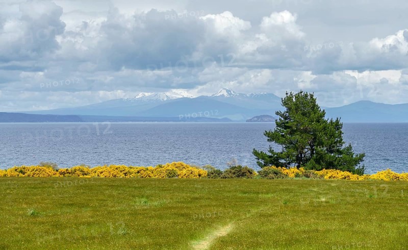 Sunny scenery at Lake Taupo on the North Island of New Zealand
