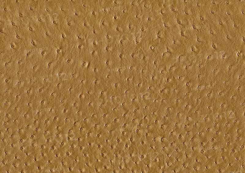 Full frame abstract brown ostrich leather surface