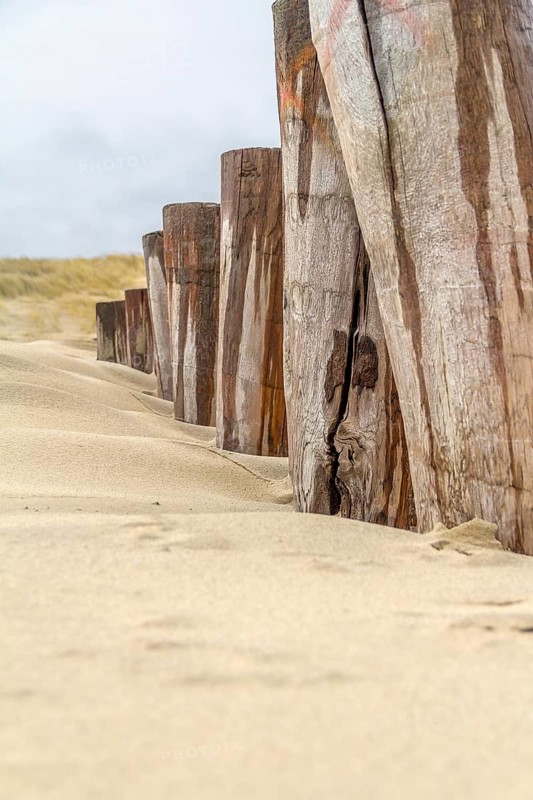 Sandy beach detail showing a groyne and dune overgrown with grass in a dutch province named Zeeland