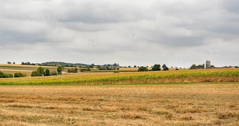 Stormy farmland scenery in Hohenlohe, an area in Southern Germany at late summer time