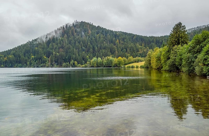 Waterside scenery around Gerardmer in France, a commune in the Vosges department in Grand Est in northeastern France