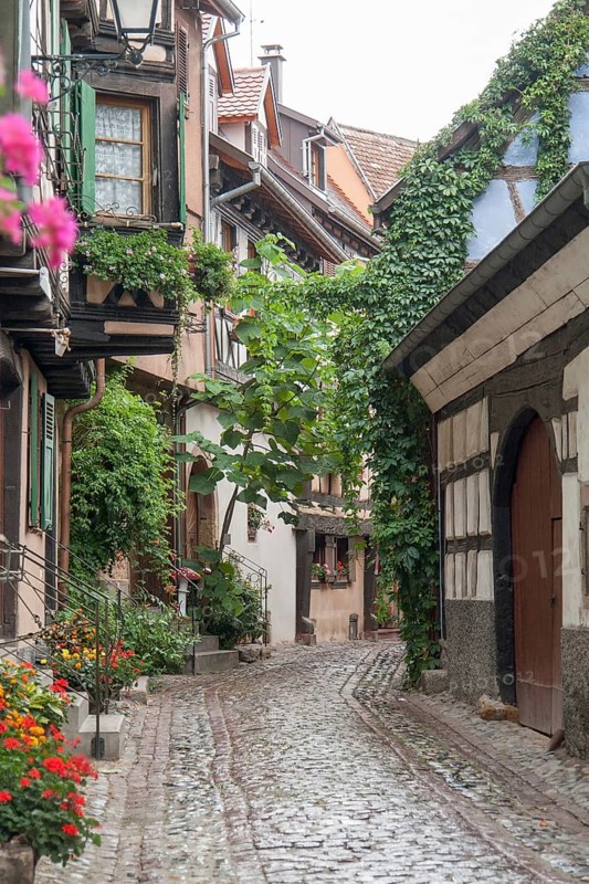 Idyllic scenery of Eguisheim, a village in Alsace, France