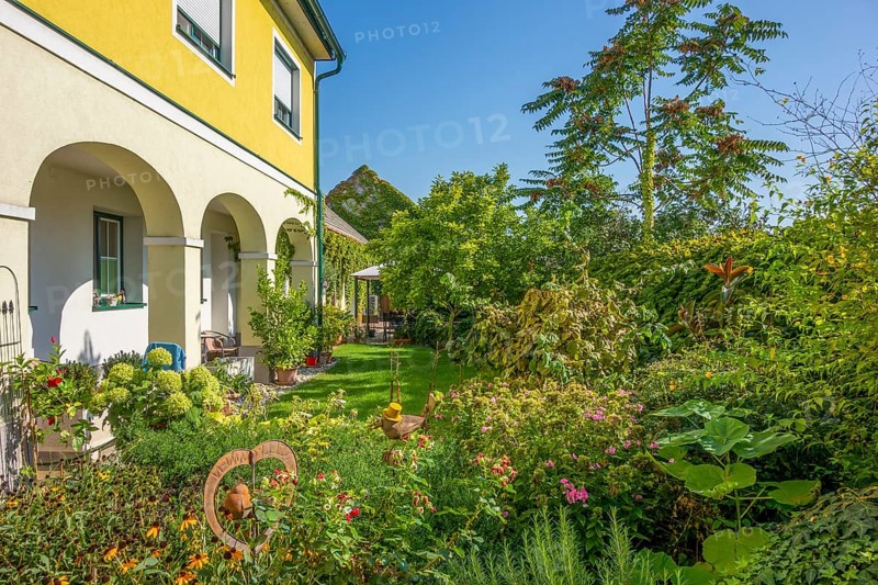 Sunny garden scenery in Podersdorf am See in Burgenland in Austria