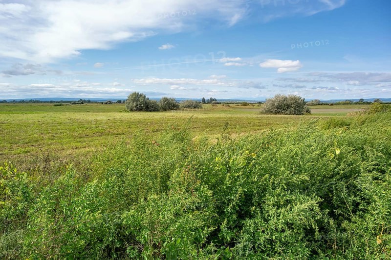 Idyllic rural scenery around Illmitz in a area named Burgenland in Austria